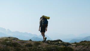 Best Backpacker Jobs In Cairns: Complete Backpacker Guide