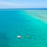Best Reef Tours Cairns For Backpackers: Honest Backpacker Tour Guide
