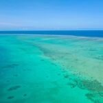 Cheap Great Barrier Reef Tours Cairns: Honest Backpacker Tour Guide