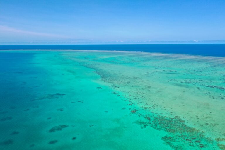 Cheap Great Barrier Reef Tours Cairns: Honest Backpacker Tour Guide - Backpacker Australia guide