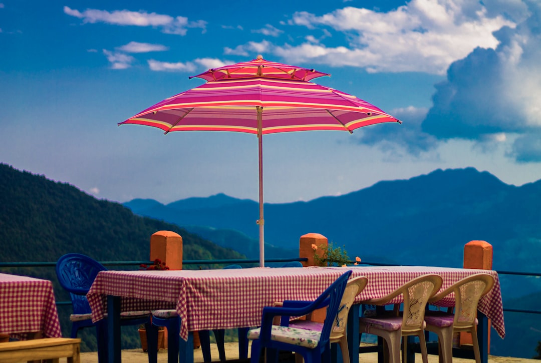 Best Cafes In Cairns For Backpackers: Complete Backpacker Guide - Backpacker Australia guide