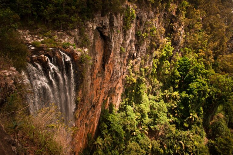 Best Waterfalls Near Cairns: Backpacker Day Trip Guide - Backpacker Australia guide
