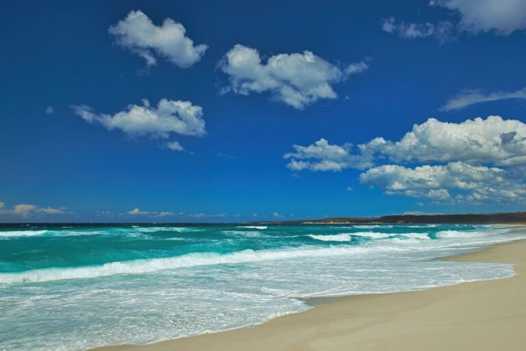 Best Islands Near Cairns: Complete Backpacker Guide - Backpacker Australia guide