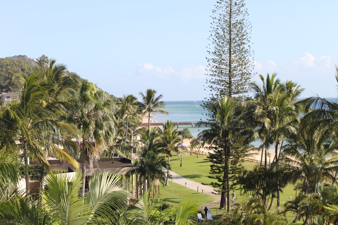 Best Beaches Near Cairns: Complete Backpacker Guide - Backpacker Australia guide