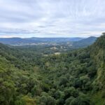 Cape Tribulation Backpacker Guide: Complete Backpacker Guide