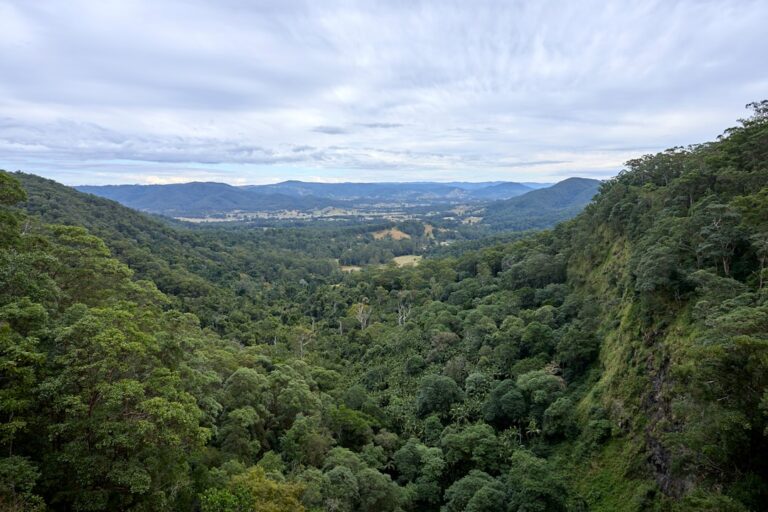 Cape Tribulation Backpacker Guide: Complete Backpacker Guide - Backpacker Australia guide