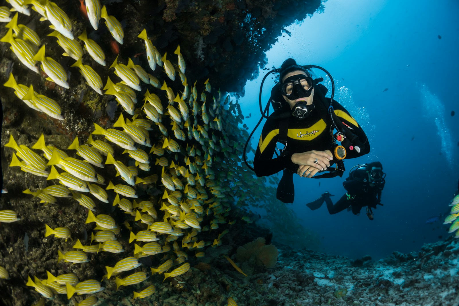Best Reef Tour For Backpackers Cairns: Honest Backpacker Tour Guide - Backpacker Guide Cairns Australia