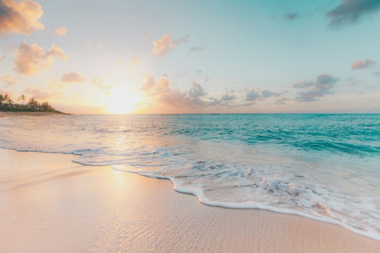 Best Backpacker Jobs In Cairns: Complete Backpacker Guide