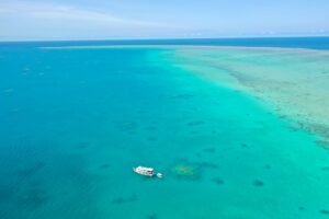 Best Great Barrier Reef Tours Cairns: Honest Backpacker Tour Guide