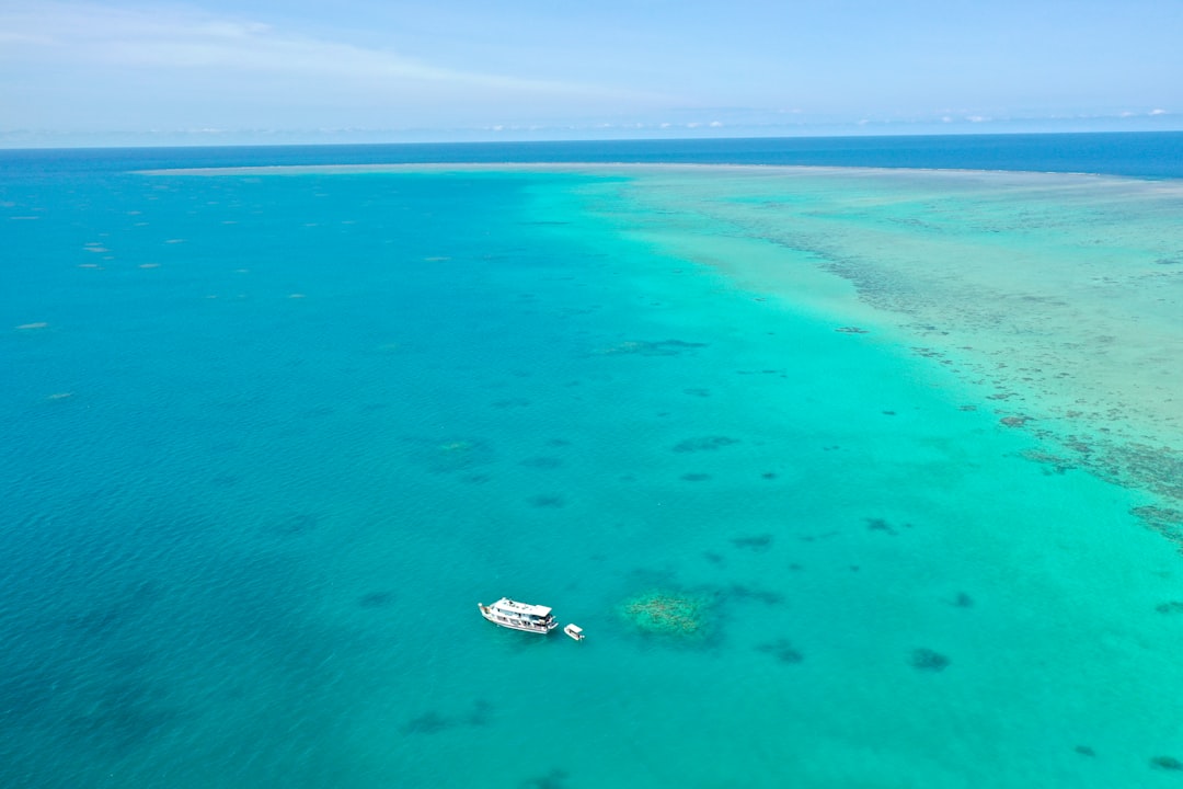 Best Great Barrier Reef Tours Cairns: Honest Backpacker Tour Guide - Backpacker Guide Cairns Australia