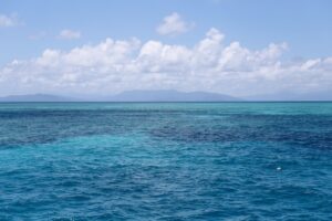 Best Scuba Diving Tours Cairns: Honest Backpacker Tour Guide