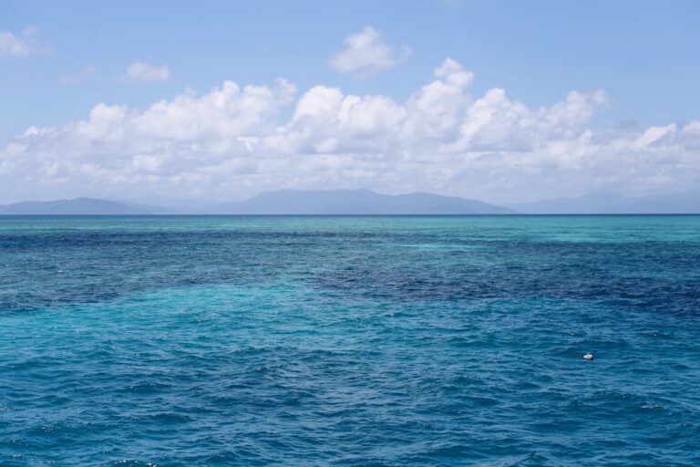 Best Scuba Diving Tours Cairns: Honest Backpacker Tour Guide - Backpacker Guide Cairns Australia