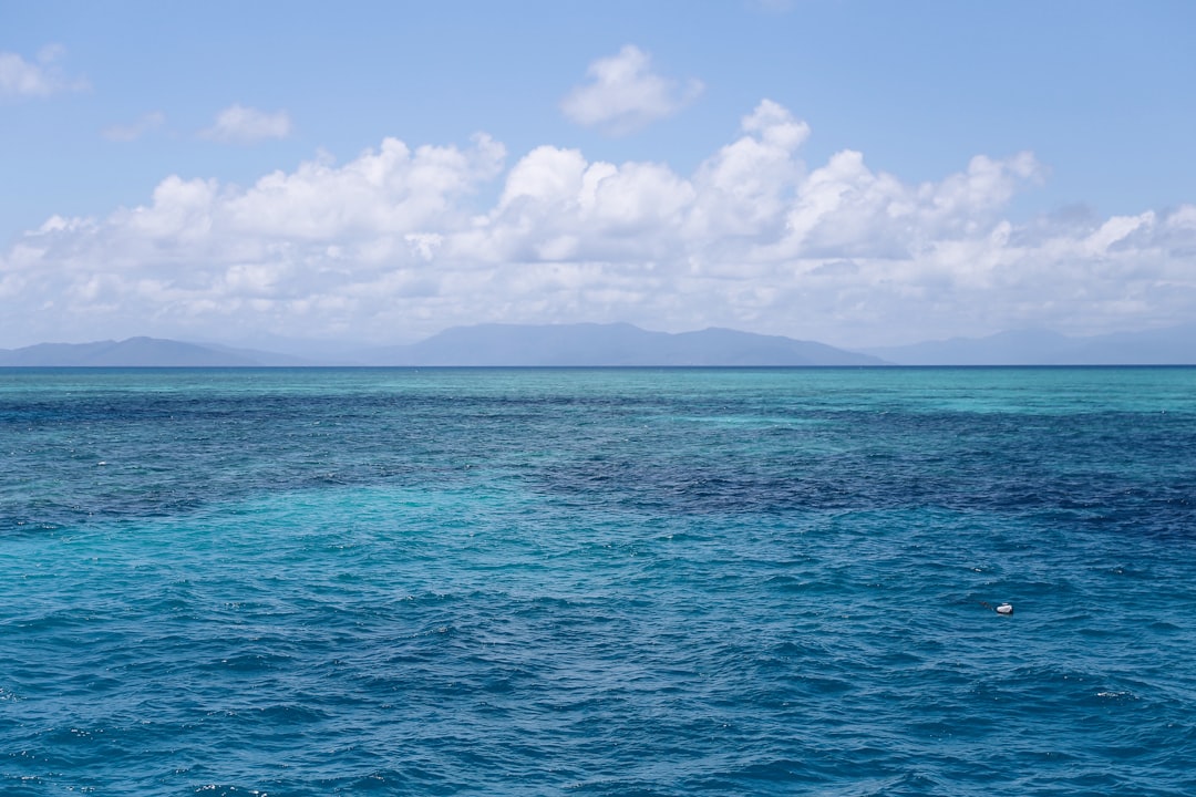 Best Scuba Diving Tours Cairns: Honest Backpacker Tour Guide - Backpacker Guide Cairns Australia