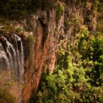 Best Fitzroy Island Tours: Backpacker Day Trip Guide