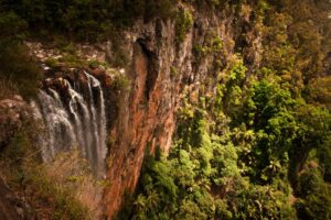 Best Fitzroy Island Tours: Backpacker Day Trip Guide