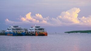 Best Sunset Cruises Cairns: Complete Backpacker Guide
