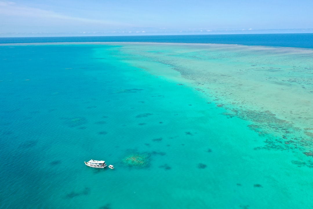 Cheapest Reef Tours Australia: Honest Backpacker Tour Guide - Backpacker Guide Cairns Australia