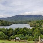 Is Canyoning Cairns Dangerous: Complete Backpacker Guide