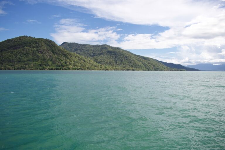 Rafting Cairns Wet Season: Complete Backpacker Guide - Backpacker Guide Cairns Australia