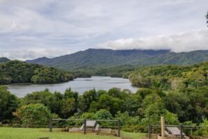 Best Areas Live Cairns No Car: Complete Backpacker Guide
