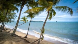 Tropical Lifestyle Australia Family: Complete Backpacker Guide