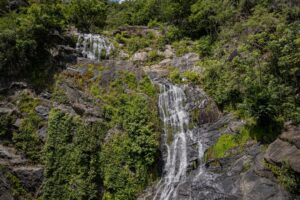 Humidity Cairns Backpackers: Complete Backpacker Guide